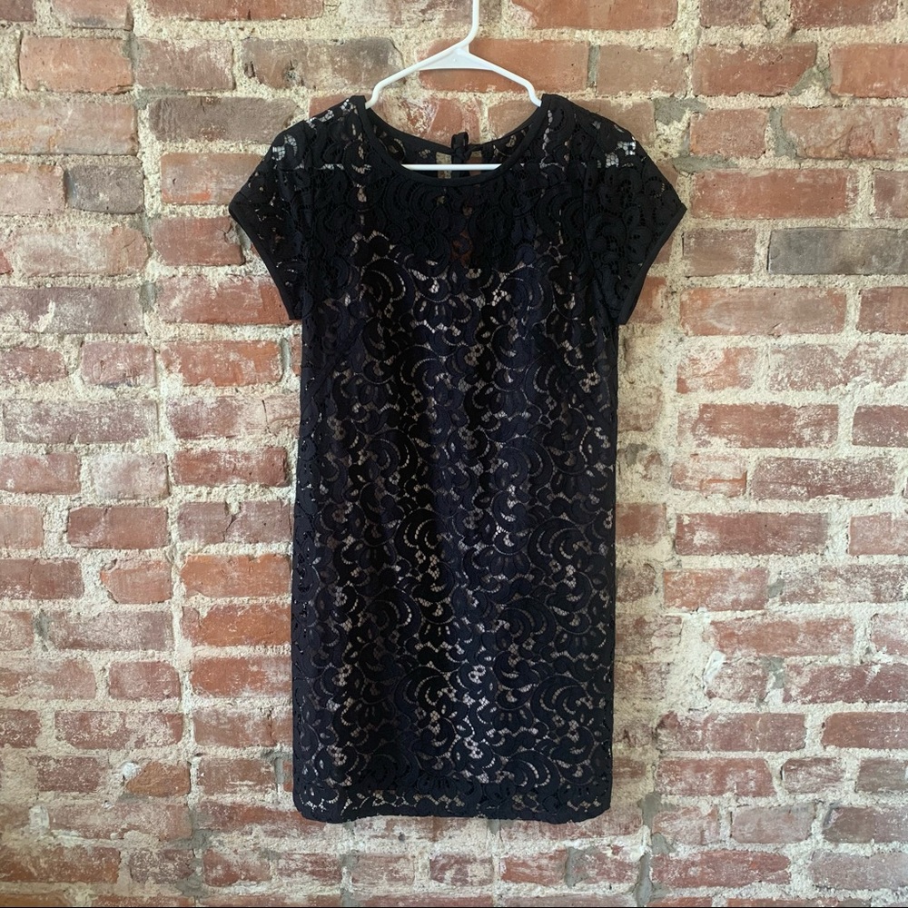 NWT LOFT Lace Overlay Black/Nude Shift Dress 6P
